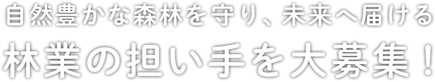 自然豊かな森林を守り、未来へ届ける 林業の担い手担い手を大募集！